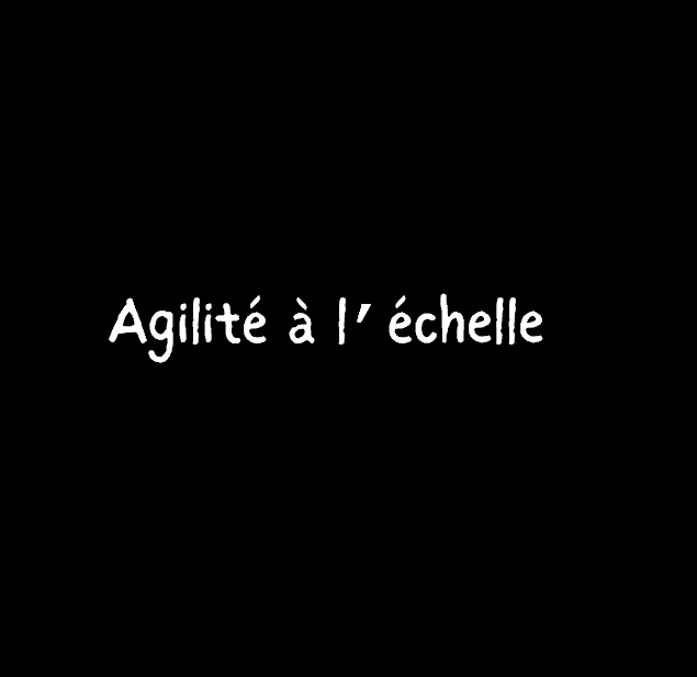 Agilité à l’échelle